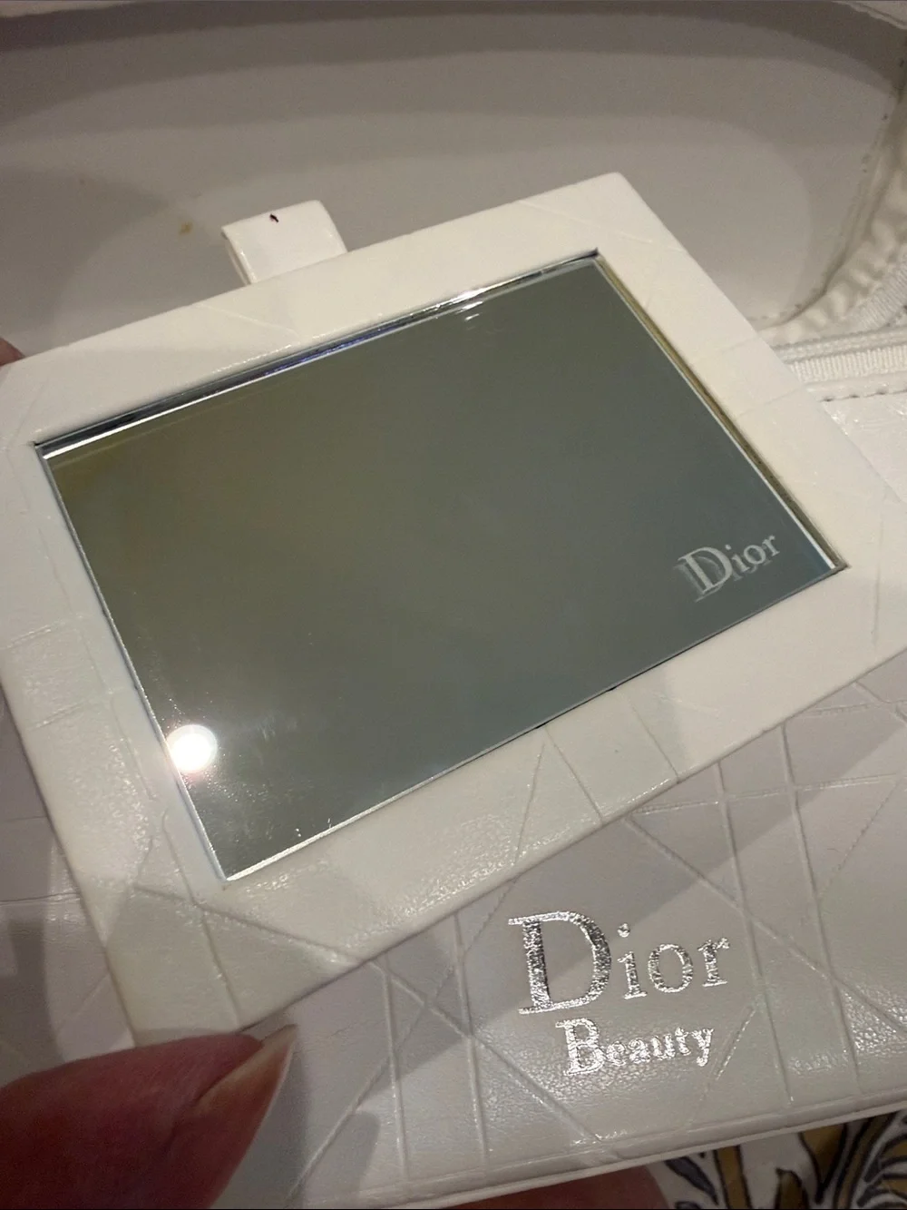 Dior cosmetic beauty cases